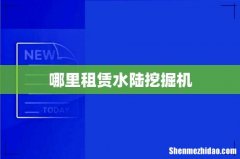 哪里租赁水陆挖掘机