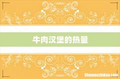 牛肉汉堡的热量