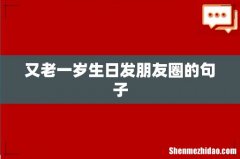 又老一岁生日发朋友圈的句子