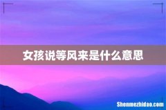 女孩说等风来是什么意思