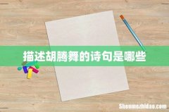 描述胡腾舞的诗句是哪些