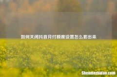 如何关闭抖音月付额度设置怎么套出来