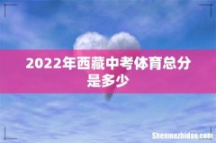2022年西藏中考体育总分是多少