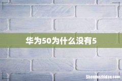 华为50为什么没有5