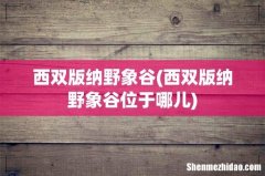 西双版纳野象谷位于哪儿 西双版纳野象谷