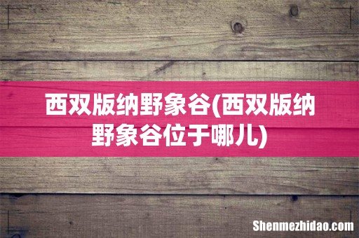 西双版纳野象谷位于哪儿 西双版纳野象谷