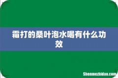 霜打的桑叶泡水喝有什么功效