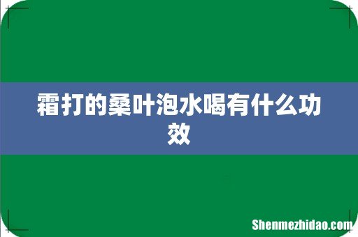 霜打的桑叶泡水喝有什么功效