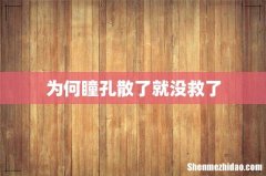为何瞳孔散了就没救了