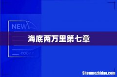 海底两万里第七章