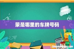 蒙是哪里的车牌号码