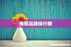 电视品牌排行榜
