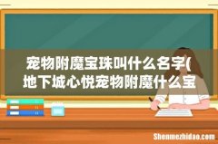 地下城心悦宠物附魔什么宝珠叫什么名字 宠物附魔宝珠叫什么名字