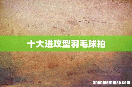 十大进攻型羽毛球拍