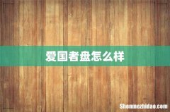 爱国者盘怎么样