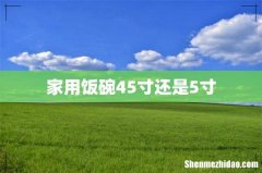 家用饭碗45寸还是5寸