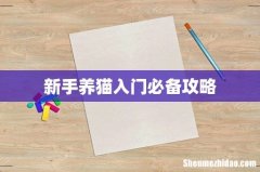 新手养猫入门必备攻略