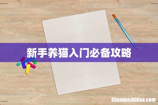 新手养猫入门必备攻略