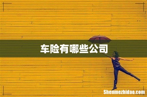 车险有哪些公司