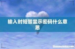 输入时短暂显示密码什么意思