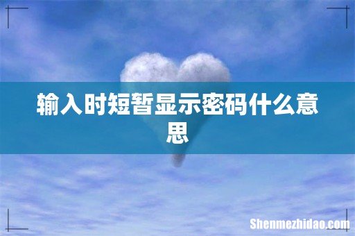 输入时短暂显示密码什么意思