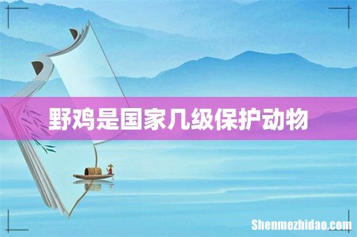 野鸡是国家几级保护动物