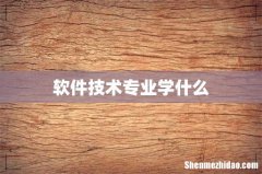 软件技术专业学什么