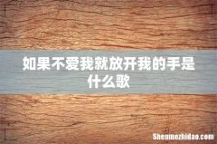 如果不爱我就放开我的手是什么歌