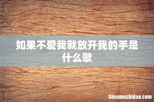 如果不爱我就放开我的手是什么歌