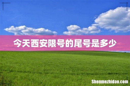今天西安限号的尾号是多少