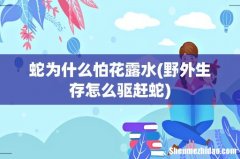 野外生存怎么驱赶蛇 蛇为什么怕花露水
