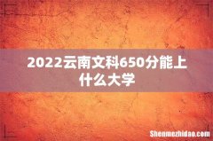 2022云南文科650分能上什么大学