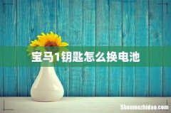 宝马1钥匙怎么换电池