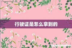 行驶证是怎么拿到的