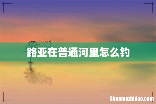 路亚在普通河里怎么钓