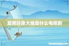 夏雨玲唐大维是什么电视剧