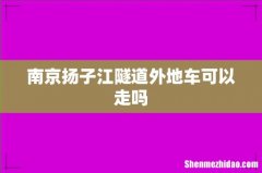 南京扬子江隧道外地车可以走吗