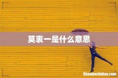 莫衷一是什么意思