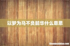 以梦为马不负韶华什么意思