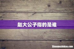 赵大公子指的是谁