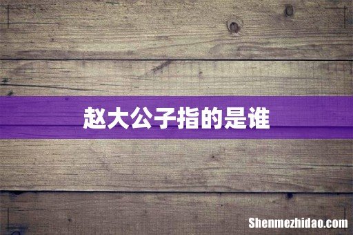 赵大公子指的是谁