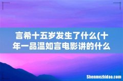 十年一品温如言电影讲的什么故事言希经历了什么结局是悲剧吗 言希十五岁发生了什么