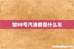 加98号汽油都是什么车