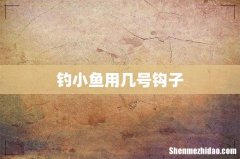 钓小鱼用几号钩子