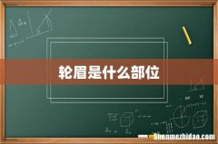 轮眉是什么部位