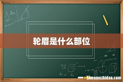 轮眉是什么部位