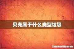 贝壳属于什么类型垃圾