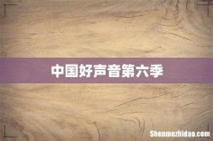 中国好声音第六季