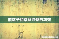 覆盆子和桑葚泡茶的功效