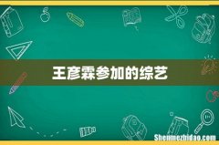 王彦霖参加的综艺